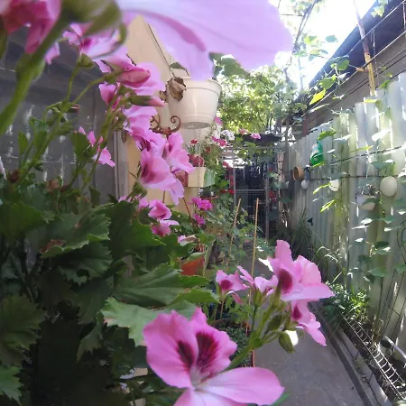 Casa Milly * Констанца